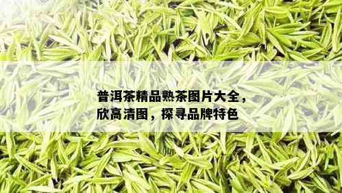 普洱茶精品熟茶图片大全，欣高清图，探寻品牌特色