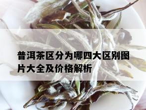 普洱茶区分为哪四大区别图片大全及价格解析