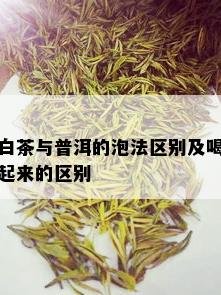 白茶与普洱的泡法区别及喝起来的区别