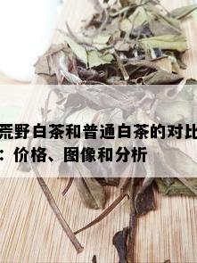 荒野白茶和普通白茶的对比：价格、图像和分析