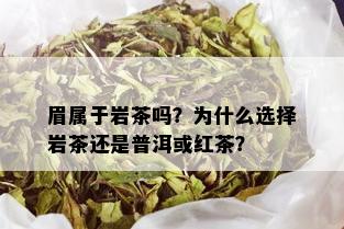 眉属于岩茶吗？为什么选择岩茶还是普洱或红茶？