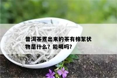 普洱茶煮出来的茶有棉絮状物是什么？能喝吗？