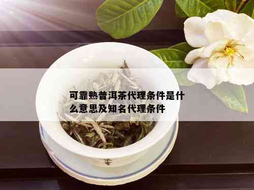 可靠熟普洱茶代理条件是什么意思及知名代理条件