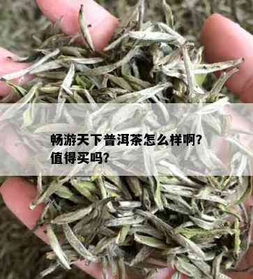 畅游天下普洱茶怎么样啊？值得买吗？