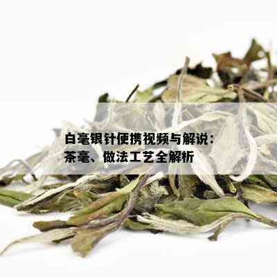 白毫银针便携视频与解说：茶毫、做法工艺全解析