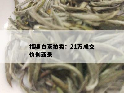 福鼎白茶拍卖：21万成交价创新录