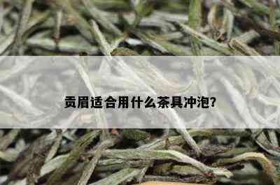 贡眉适合用什么茶具冲泡？