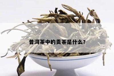 普洱茶中的贡茶是什么？