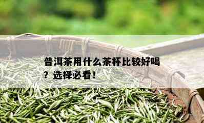 普洱茶用什么茶杯比较好喝？选择必看！