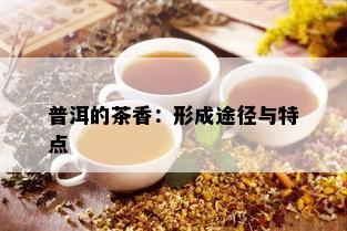 普洱的茶香：形成途径与特点