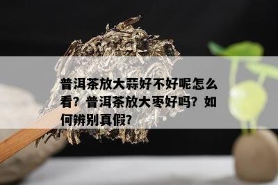 普洱茶放大蒜好不好呢怎么看？普洱茶放大枣好吗？如何辨别真假？