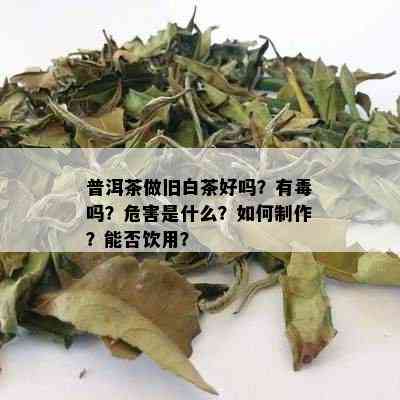 普洱茶做旧白茶好吗？有吗？危害是什么？如何制作？能否饮用？