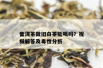 普洱茶做旧白茶能喝吗？视频解答及性分析