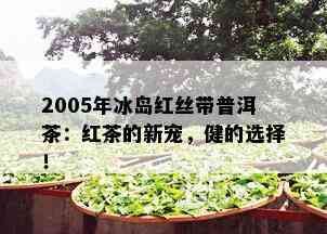 2005年冰岛红丝带普洱茶：红茶的新宠，健的选择！