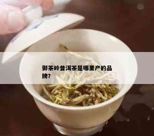 御茶岭普洱茶是哪里产的品牌？