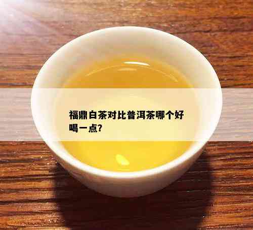 福鼎白茶对比普洱茶哪个好喝一点？