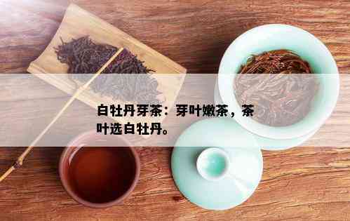 白牡丹芽茶：芽叶嫩茶，茶叶选白牡丹。