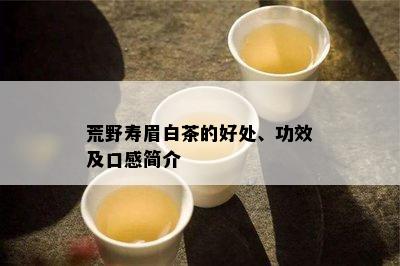 荒野寿眉白茶的好处、功效及口感简介