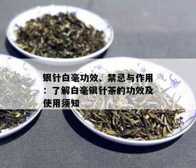 银针白毫功效、禁忌与作用：了解白毫银针茶的功效及使用须知