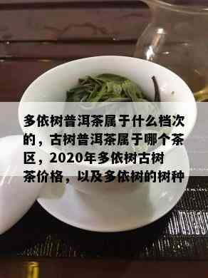 多依树普洱茶属于什么档次的，古树普洱茶属于哪个茶区，2020年多依树古树茶价格，以及多依树的树种