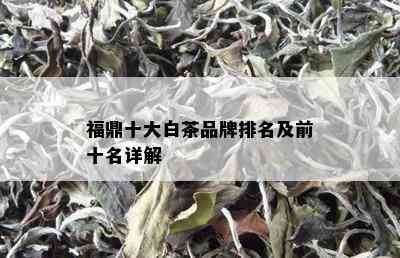 福鼎十大白茶品牌排名及前十名详解