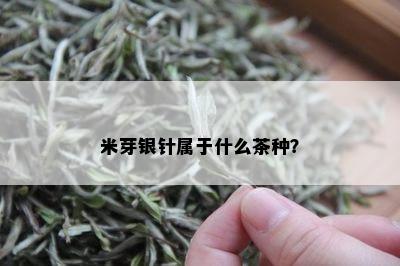 米芽银针属于什么茶种？