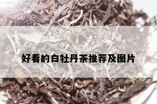 好看的白牡丹茶推荐及图片