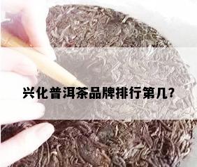 兴化普洱茶品牌排行第几？