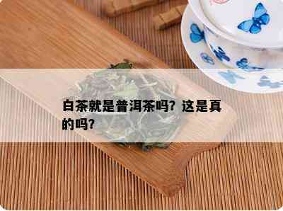 白茶就是普洱茶吗？这是真的吗？