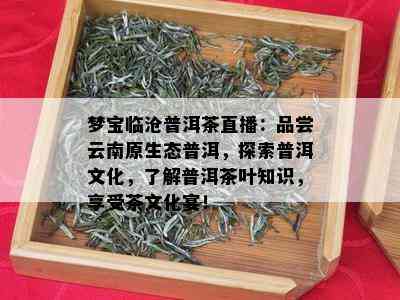 梦宝临沧普洱茶直播：品尝云南原生态普洱，探索普洱文化，了解普洱茶叶知识，享受茶文化宴！