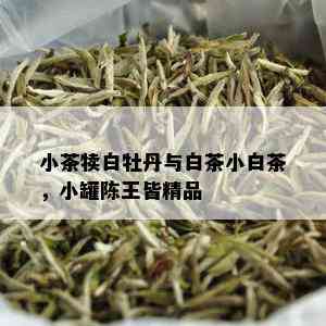 小茶犊白牡丹与白茶小白茶，小罐陈王皆精品