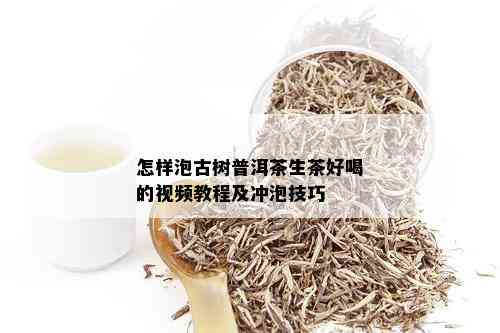 怎样泡古树普洱茶生茶好喝的视频教程及冲泡技巧