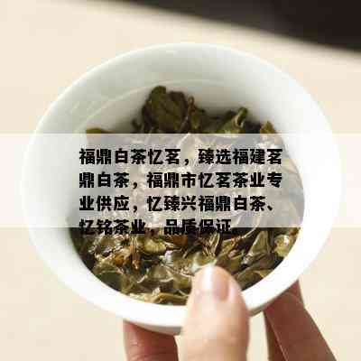 福鼎白茶忆茗，臻选福建茗鼎白茶，福鼎市忆茗茶业专业供应，忆臻兴福鼎白茶、忆铭茶业，品质保证。