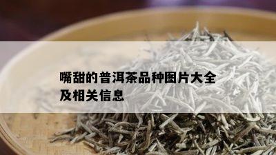 嘴甜的普洱茶品种图片大全及相关信息