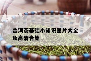 普洱茶基础小知识图片大全及高清合集