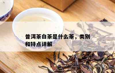 普洱茶白茶是什么茶，类别和特点详解