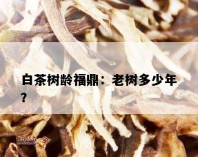 白茶树龄福鼎：老树多少年？