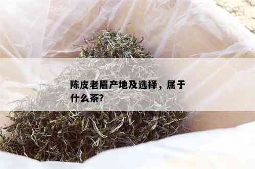 陈皮老眉产地及选择，属于什么茶？