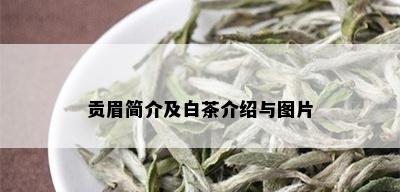 贡眉简介及白茶介绍与图片