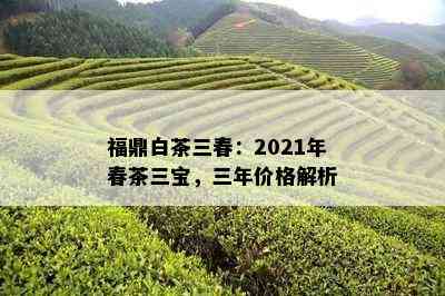 福鼎白茶三春：2021年春茶三宝，三年价格解析