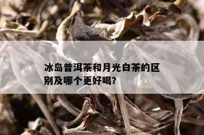 冰岛普洱茶和月光白茶的区别及哪个更好喝？