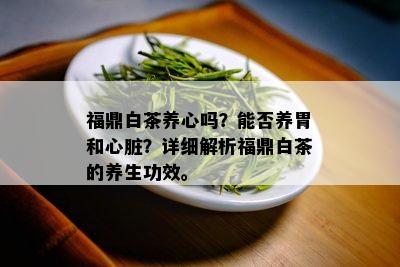 福鼎白茶养心吗？能否养胃和心脏？详细解析福鼎白茶的养生功效。