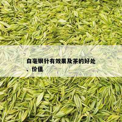 白毫银针有效果及茶的好处、价值