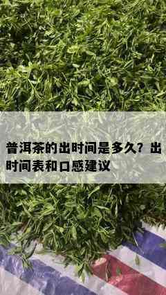 普洱茶的出时间是多久？出时间表和口感建议