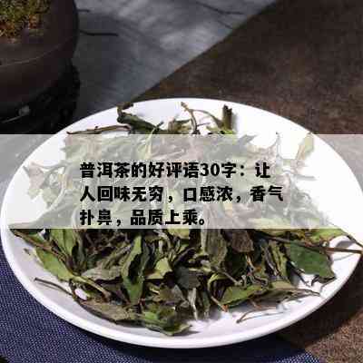 普洱茶的好评语30字：让人回味无穷，口感浓，香气扑鼻，品质上乘。