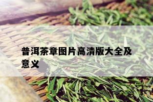 普洱茶章图片高清版大全及意义