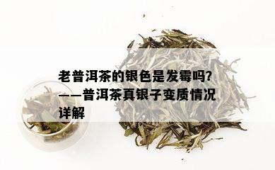 老普洱茶的银色是发霉吗？——普洱茶真银子变质情况详解