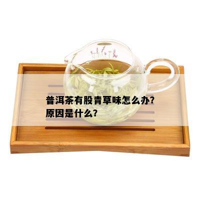 普洱茶有股青草味怎么办？原因是什么？