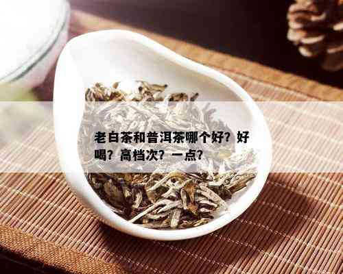 老白茶和普洱茶哪个好？好喝？高档次？一点？