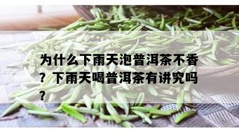 为什么下雨天泡普洱茶不香？下雨天喝普洱茶有讲究吗？